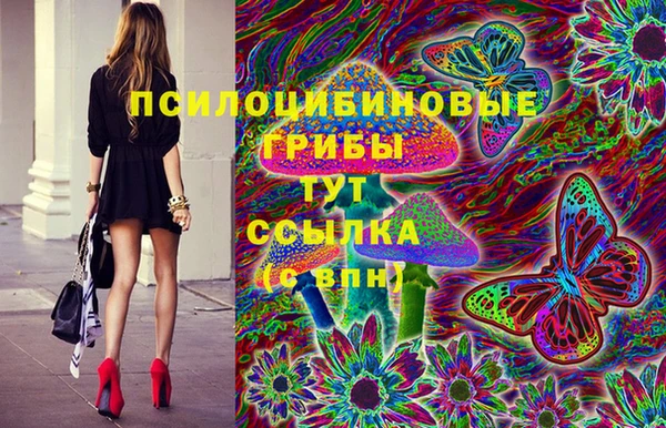 спиды Коряжма