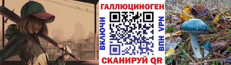 Купить где  Маркс  Галлюциногенные грибы мицелий 